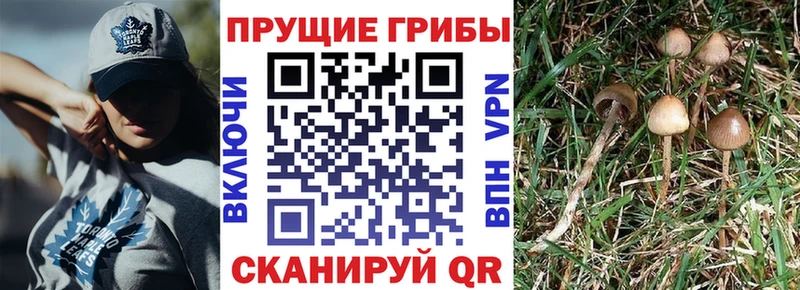 Псилоцибиновые грибы ЛСД  Находка 