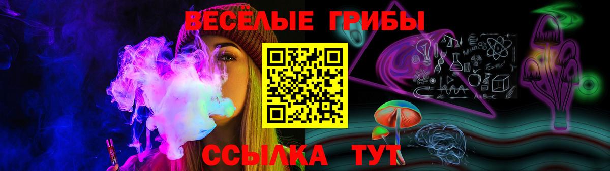 Галлюциногенные грибы мицелий  Вход с VPN  Находка 