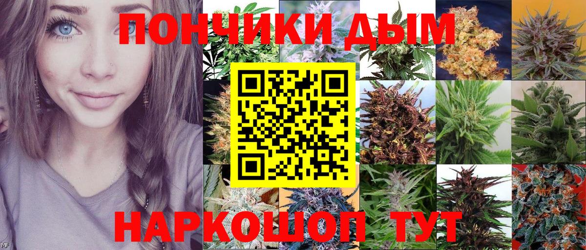 Канабис OG Kush  Бошки марихуана планчик  Находка  Каннабис LSD WEED  Вход с VPN 